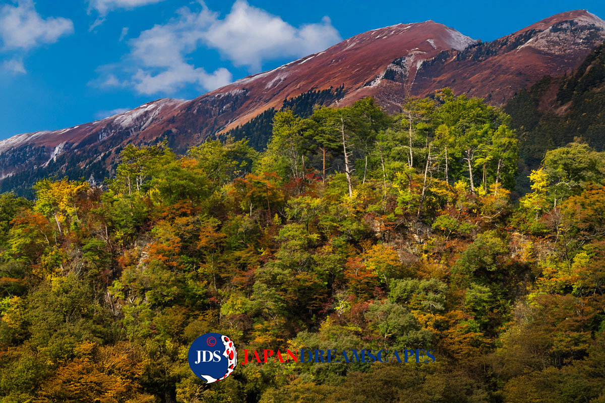 Japan DreamScapes Photography Tours and Workshops - Essence of Autumn Workshop Epilogue