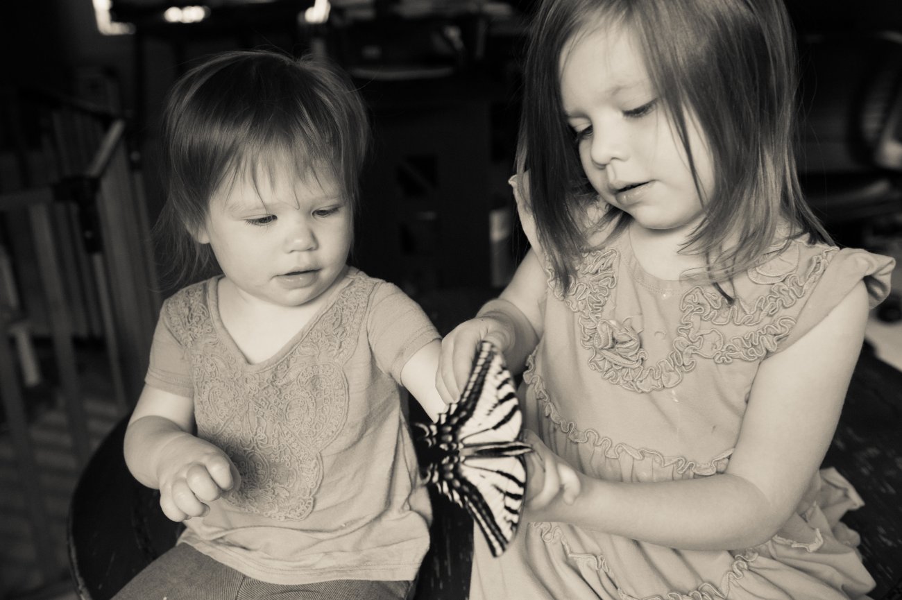 Peterson Children Portraits - Girls with butterfly