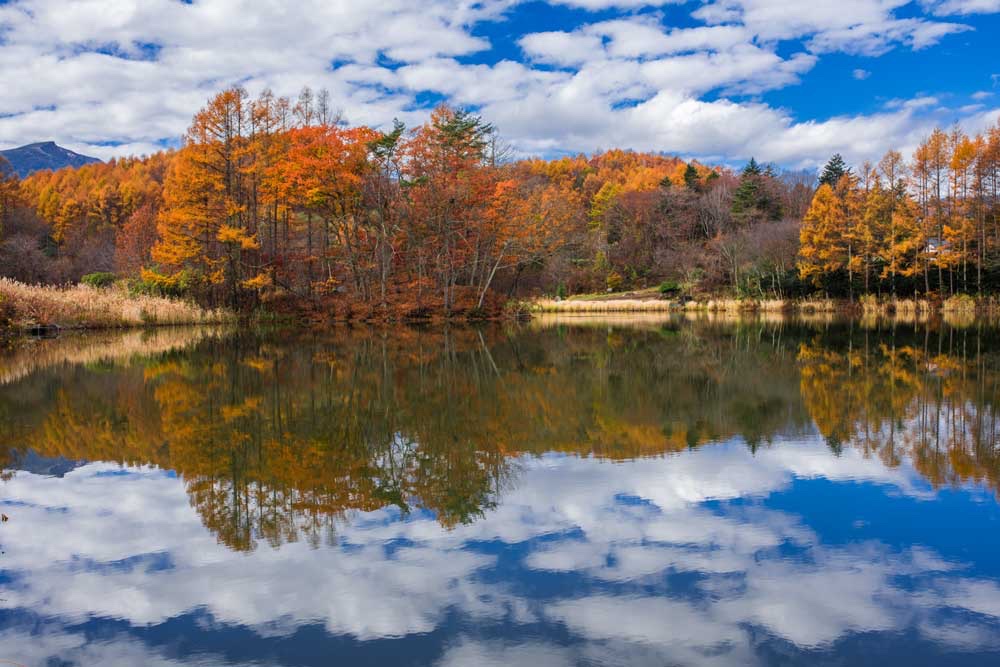 Tohoku Photo Tour - Akita's Natural Appeals - Blain Harasymiw Photography