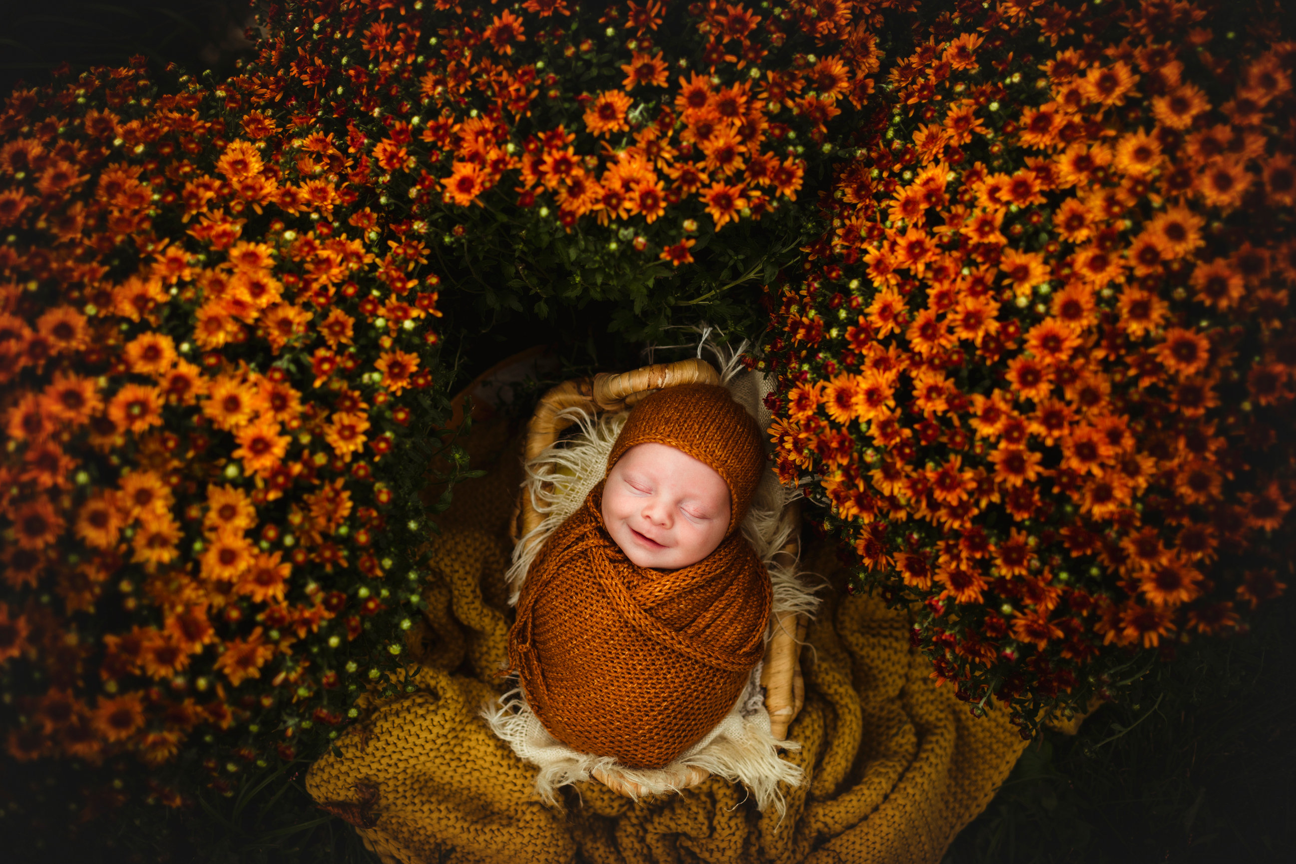 Stephanie Cotta Photography | Award-Winning St. Louis Newborn and