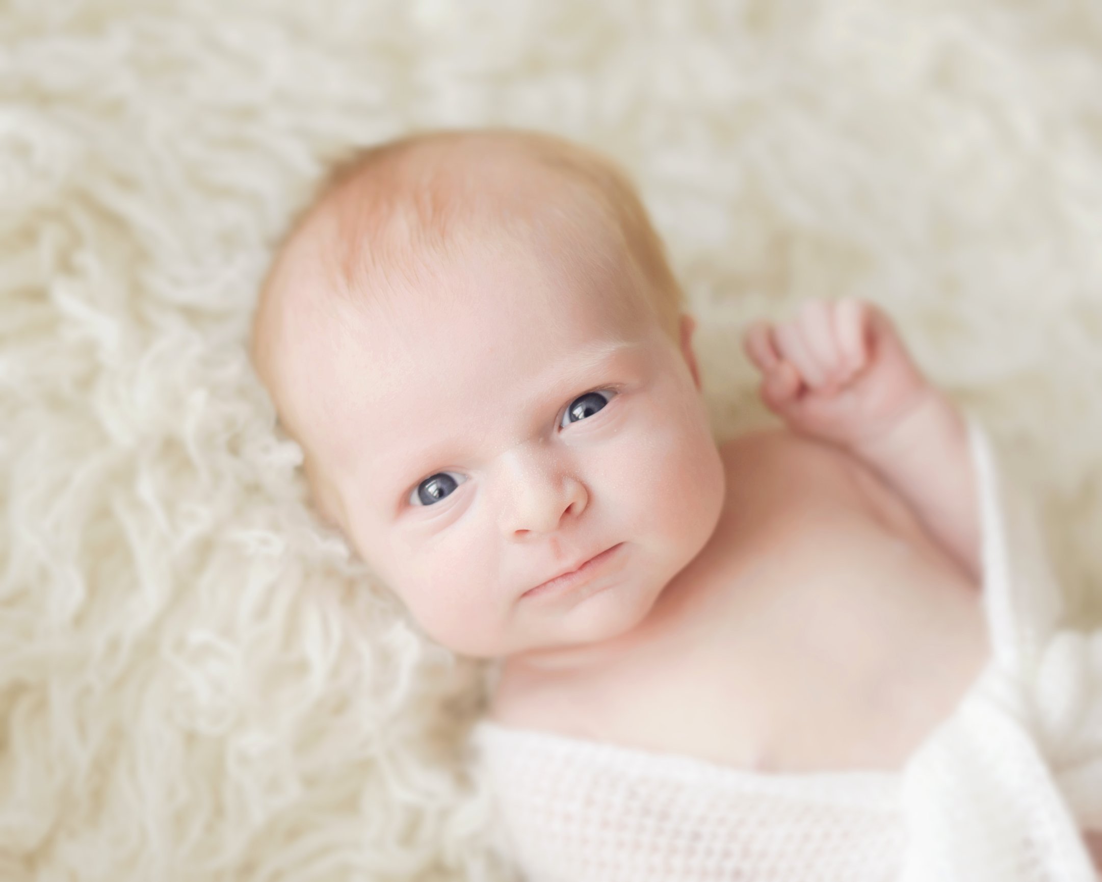 Newborns - September Blue Photography