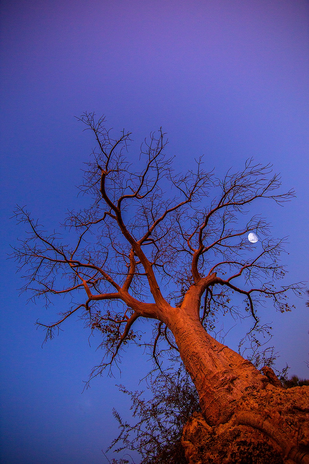 The Moon S Exposure Jim Zuckerman Photography Photo Tours