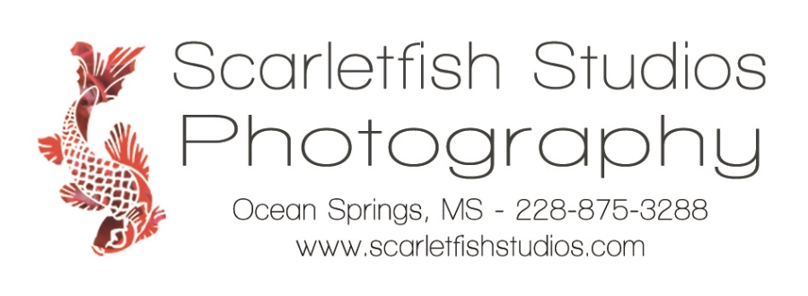 Scarletfish Studios LLC Logo
