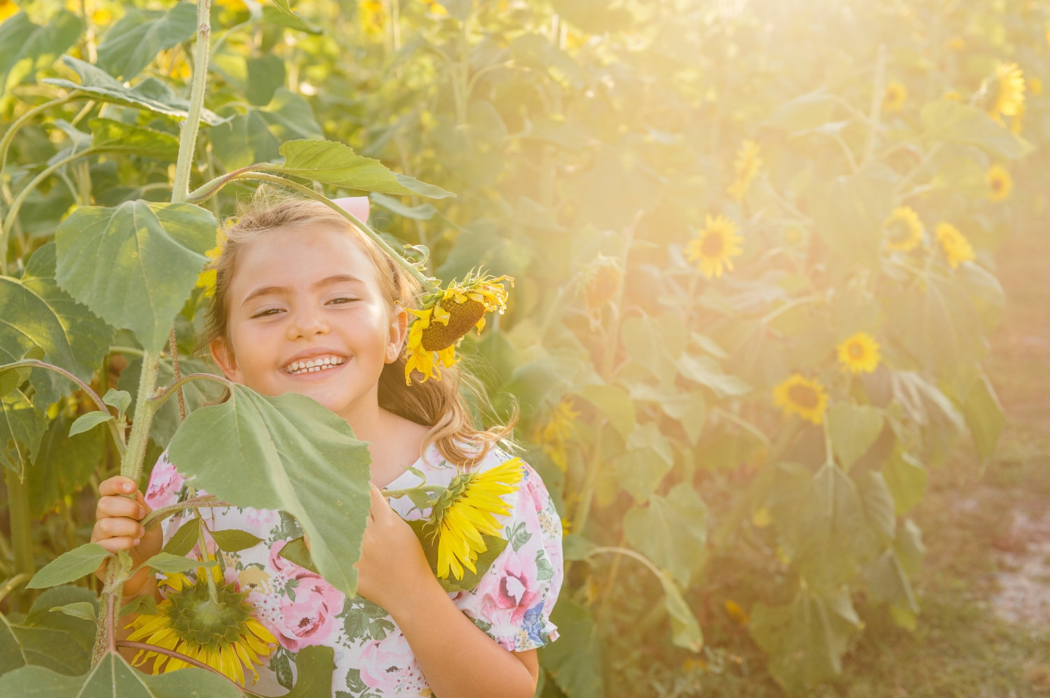 golden hour photography, golden hour sunflower photography, Rya Duncklee