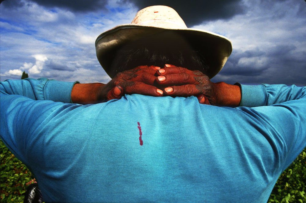 Travel tour photography Trips