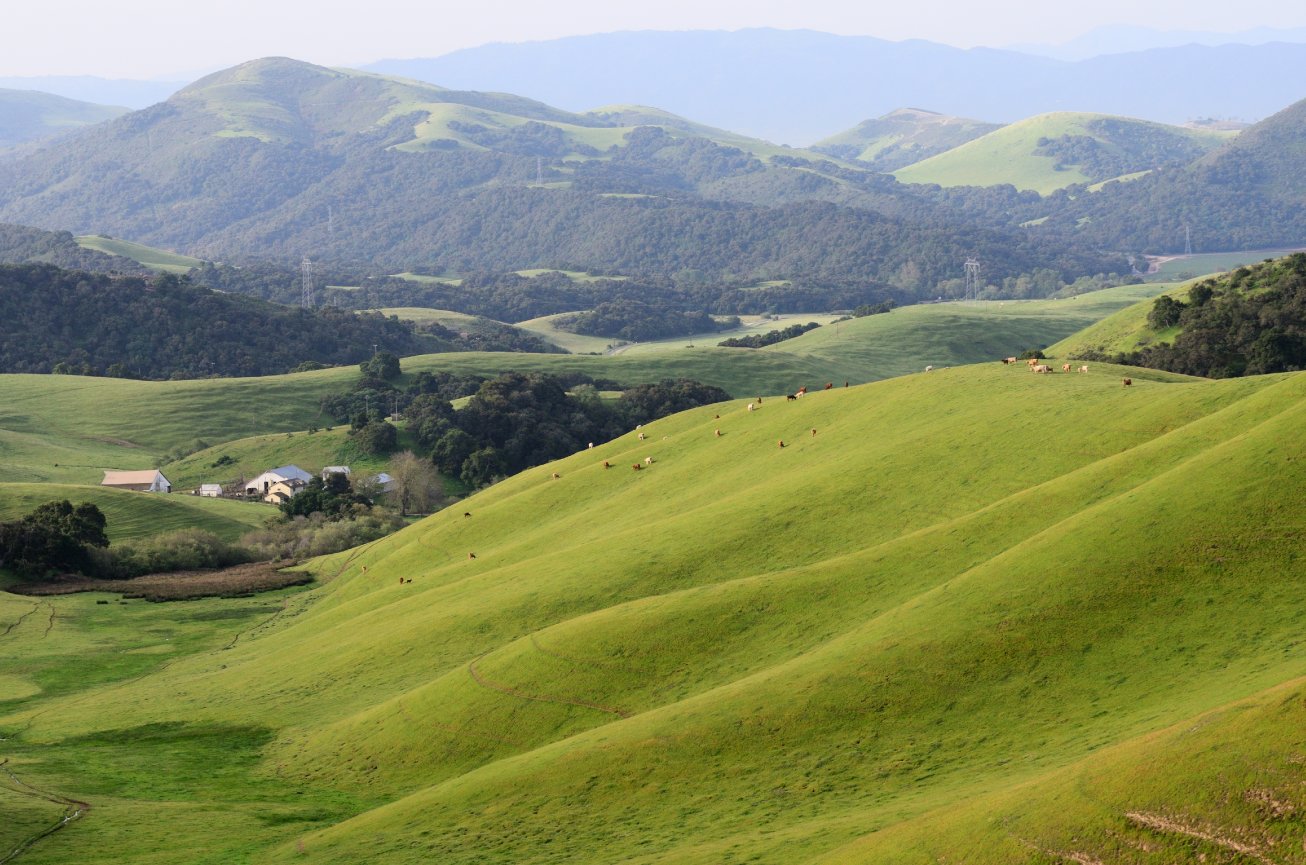 California on my Mind - Cynthia Baldauf Images