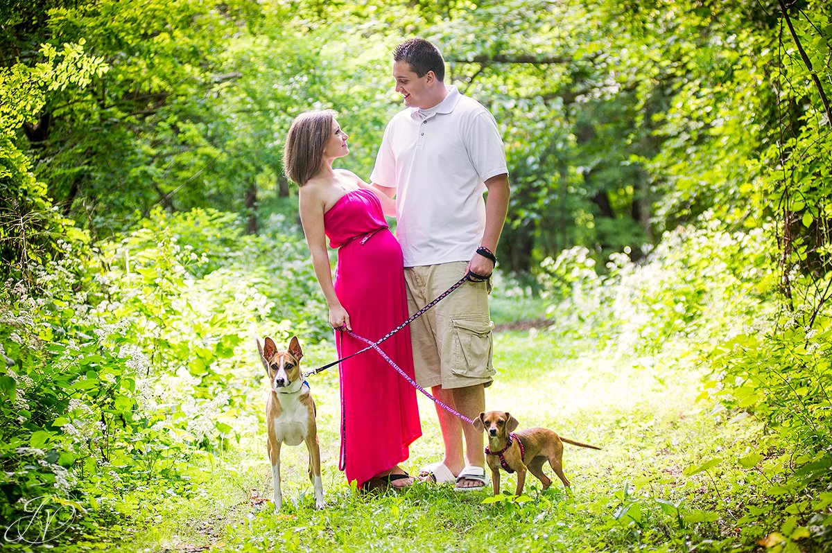 family with pets maternity photo, albany maternity photography, albany maternity photographer, john boyd thacher state park