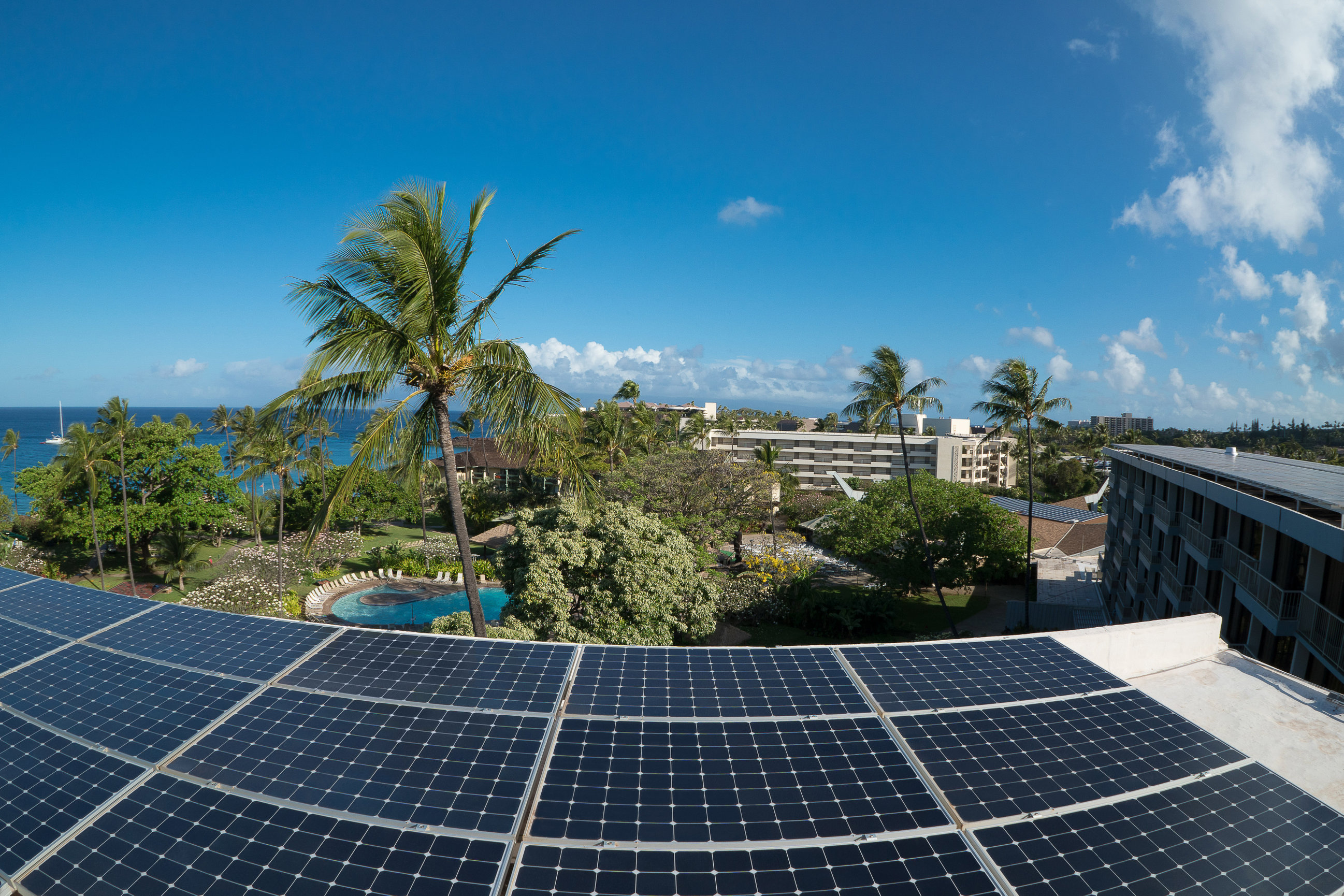 Maui Commercial Photographer Aubrey Hord Branding Photography