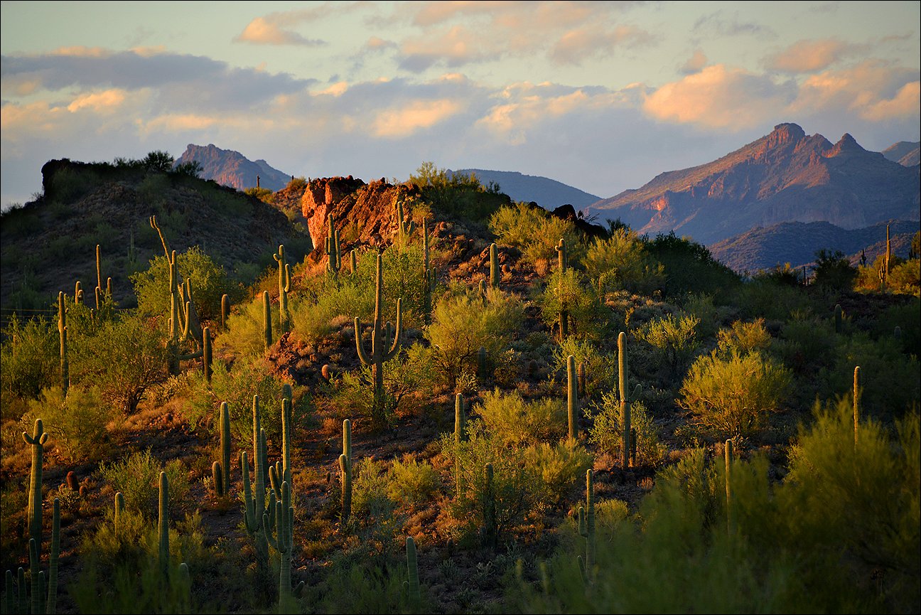 Arizona - Natures Album