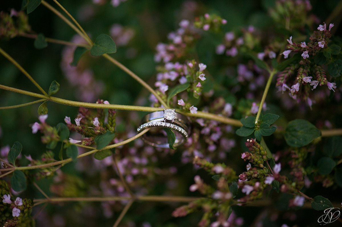 Unique wedding ring shot, with the rings on flowers