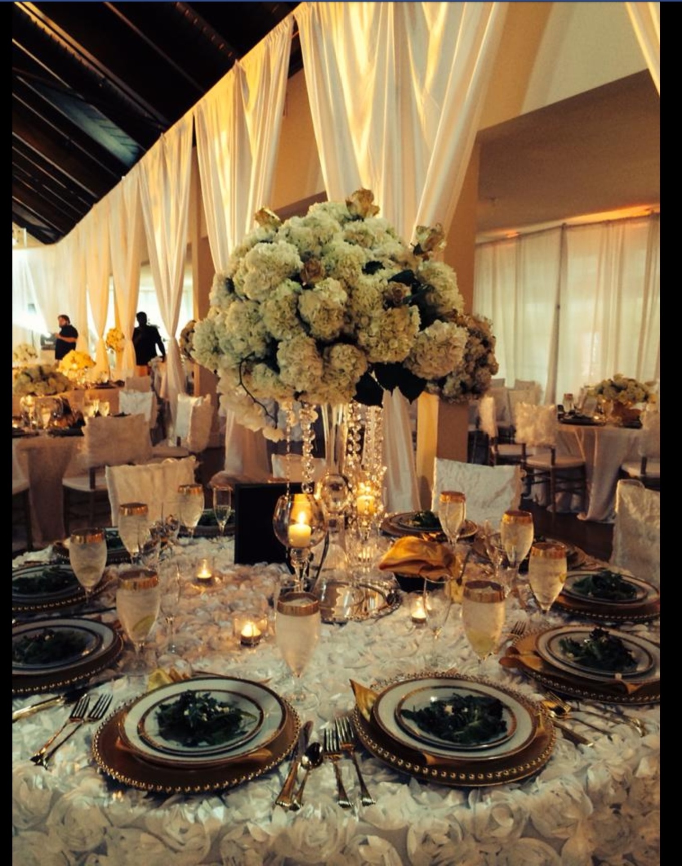 RECEPTION Graceful Designs