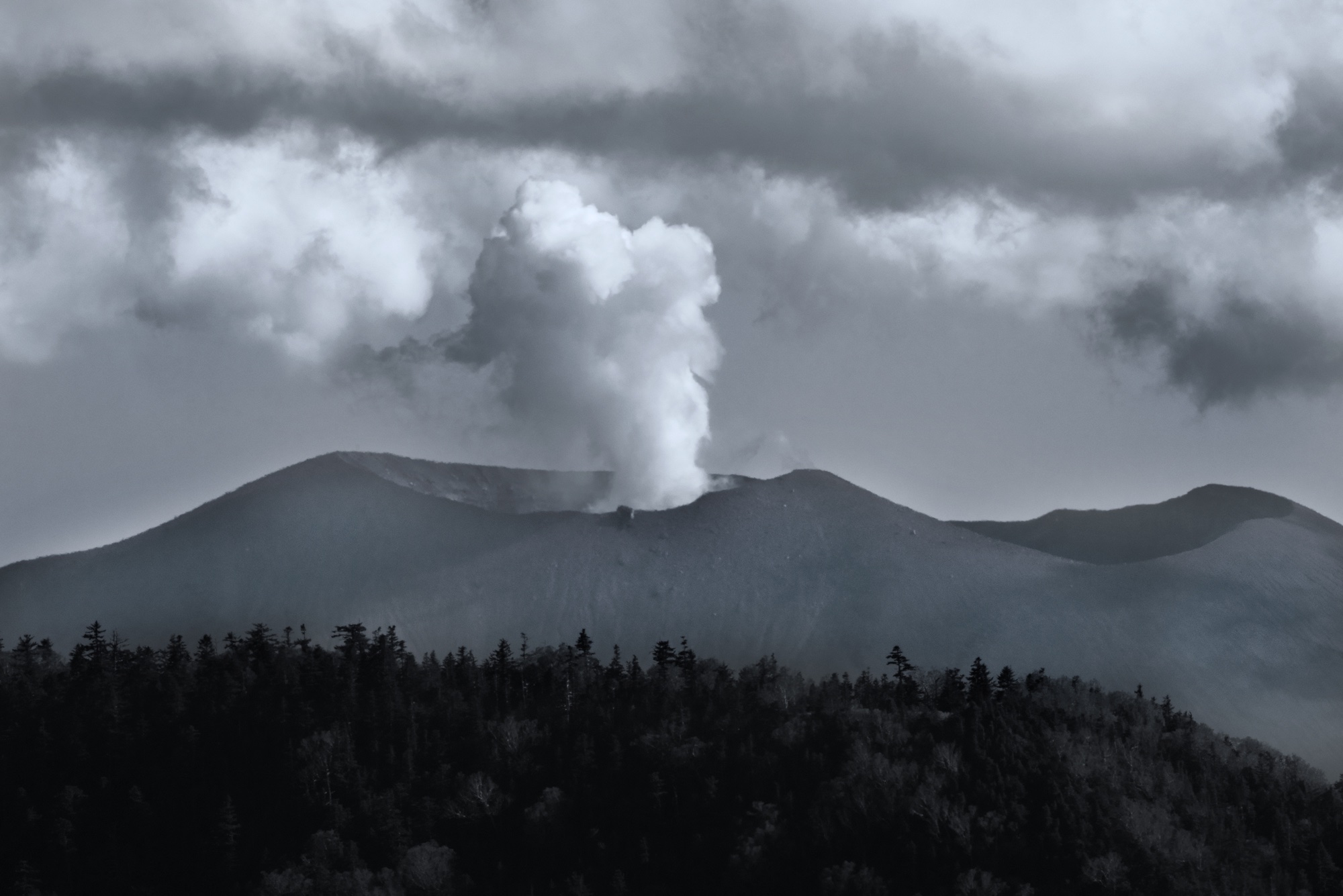 Asamayama Bear Deity - Blain Harasymiw Photography