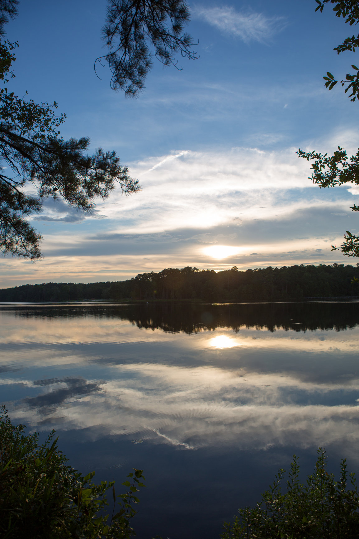 Escape To The Pines: Cheraw State Park, South Carolina's Hidden Gem