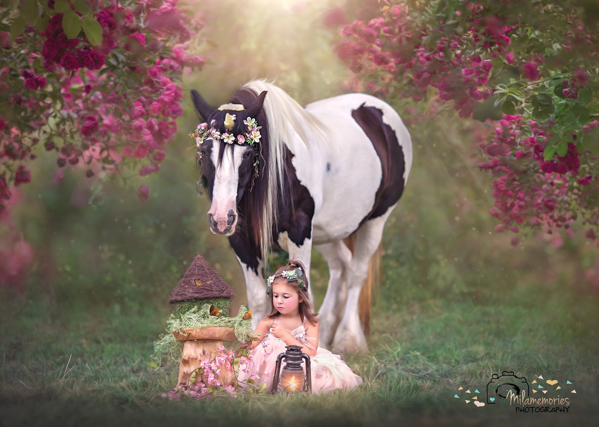 Art Photography Unicorn