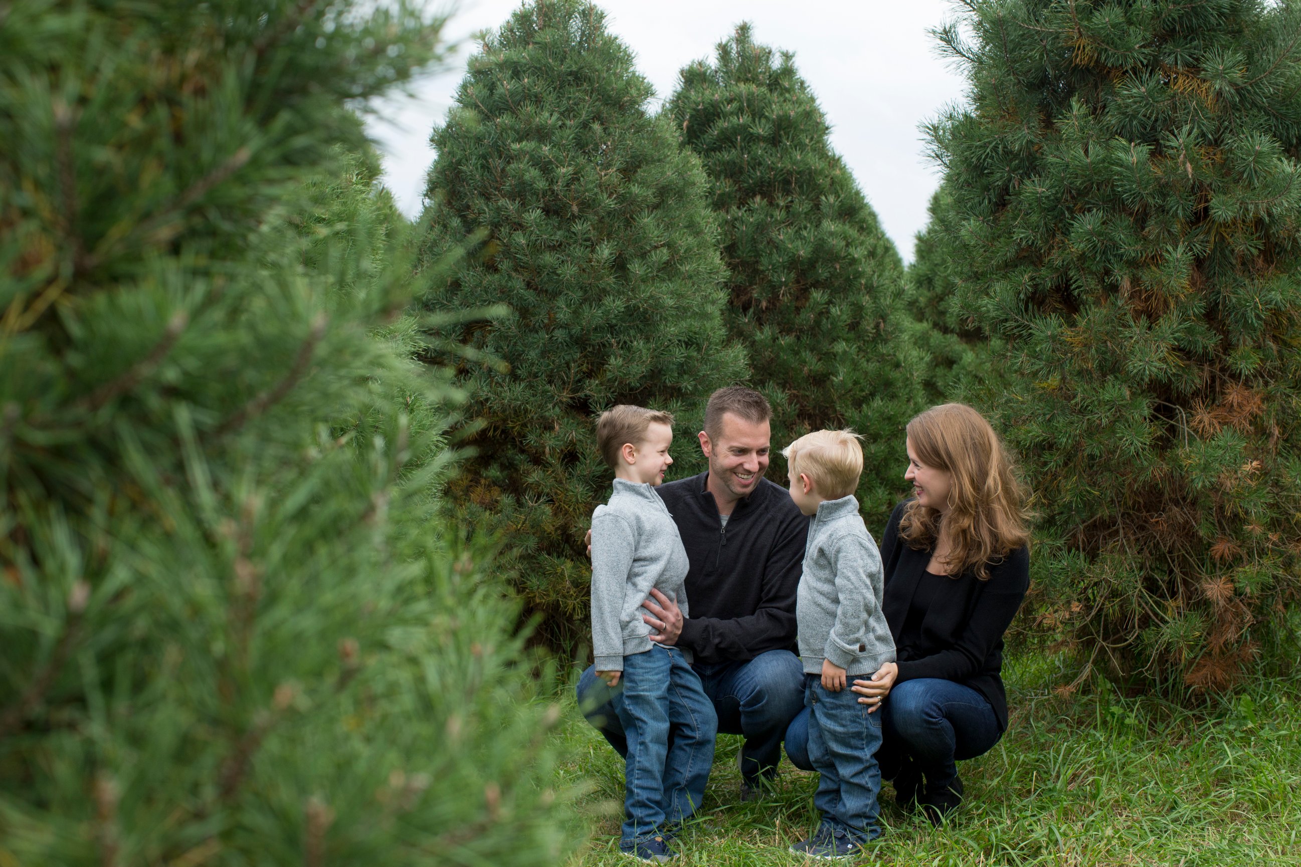 Christmas Tree Farm Kansas City Family Photographer Christina