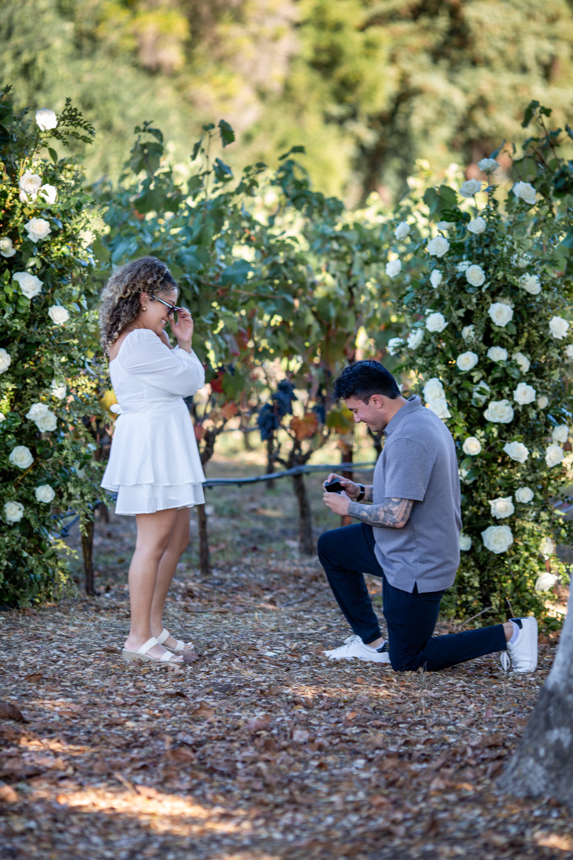 Landmark Vineyards, Santa Rosa Ca, Proposal - Studio J Portraits