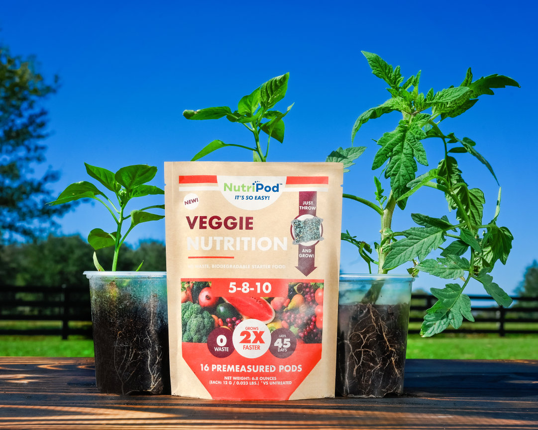 Young tomato and pepper plants in clear pots next to a bag of NutriPod Veggie Nutrition, set against a blue sky.