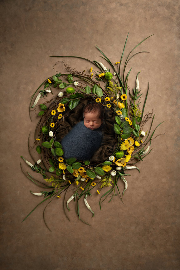 Mission Valley CA newborn photographer, newborn photography in Mission Valley CA, newborn portraits near me