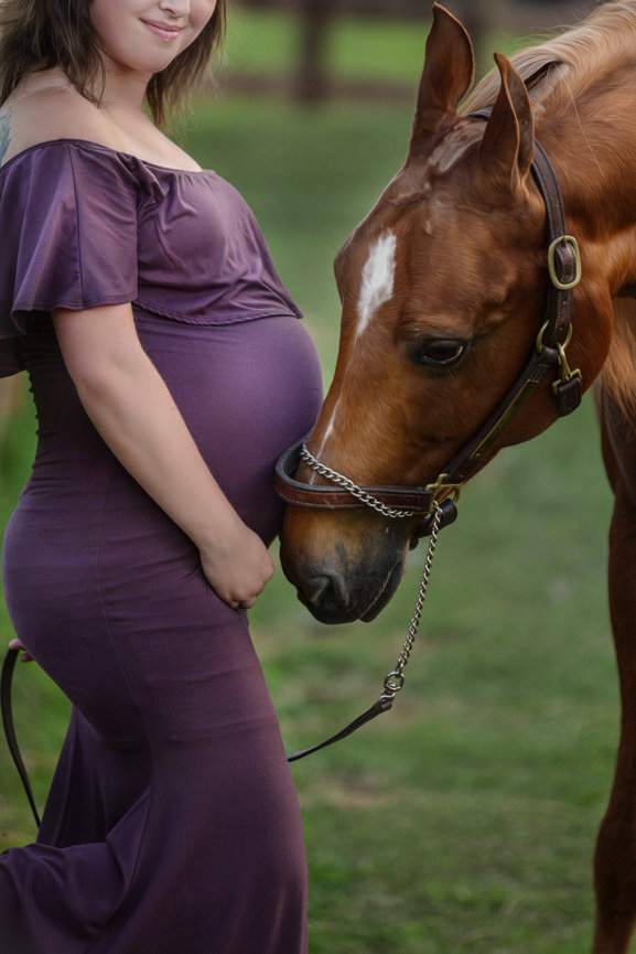 Maternity Photo shoot with horse in Cincinnati ohio