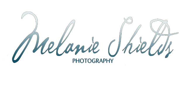 Melanie Shields Logo