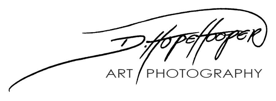Wild Iris Photo Logo