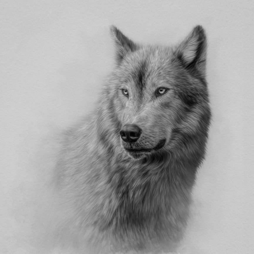 © Corey McDonald