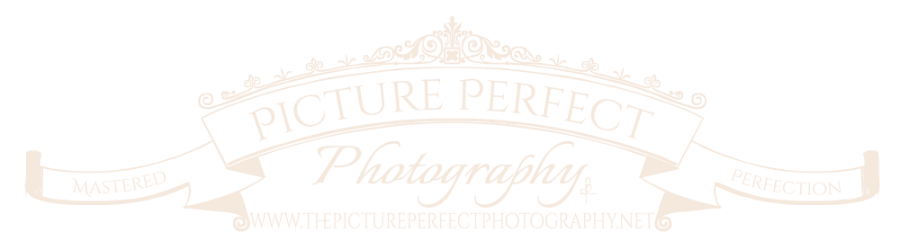 Picture Perfect Photography Logo