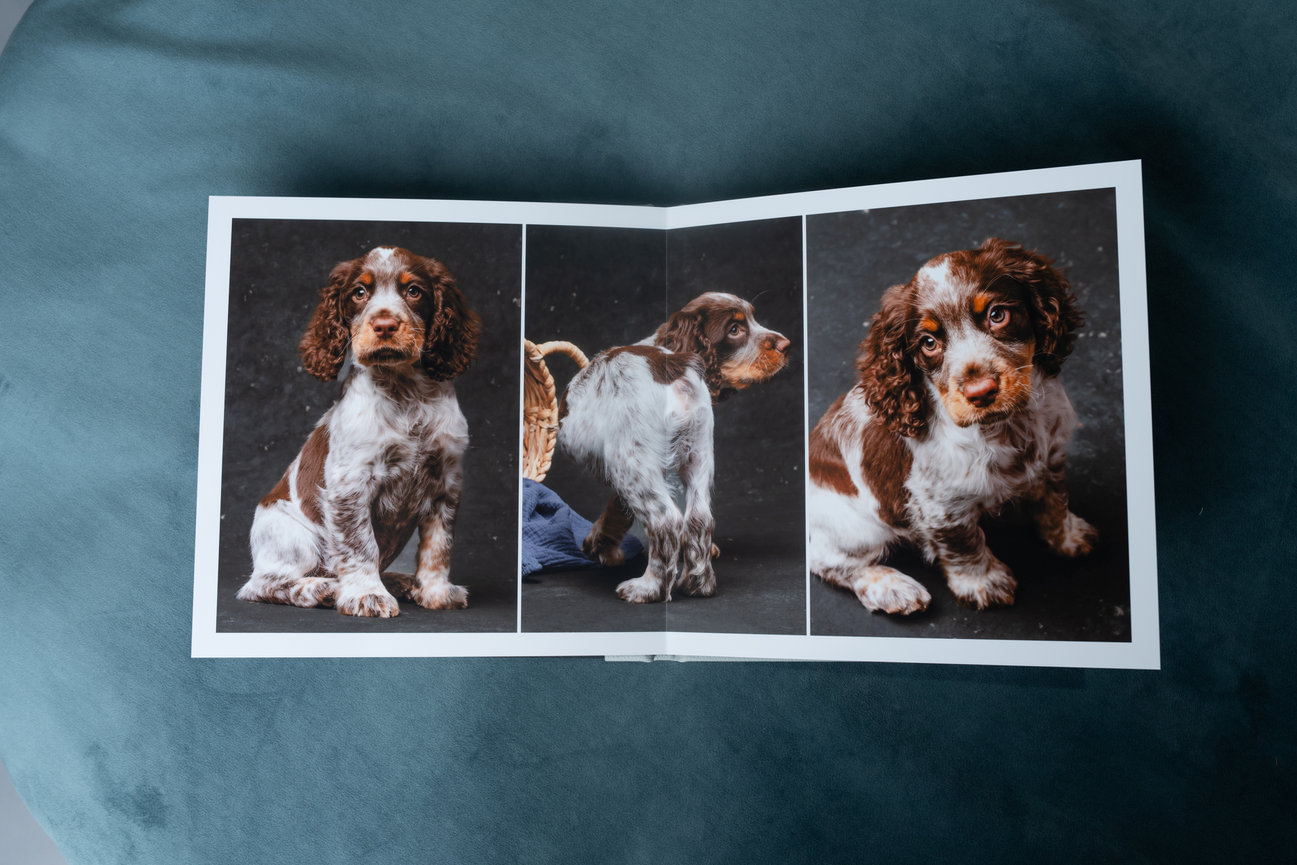 Beautiful photo album displaying professional puppy portraits taken in studio by pet photographer BarkHop Studio, Chester County PA