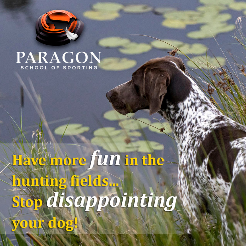 Wing Shooting Lessons, Instructions and Coaching