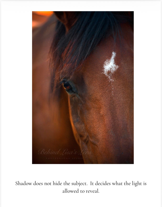 Photography in Shingle Springs, CA that uses light, observation, and direction to create polished portraits for growing brands.