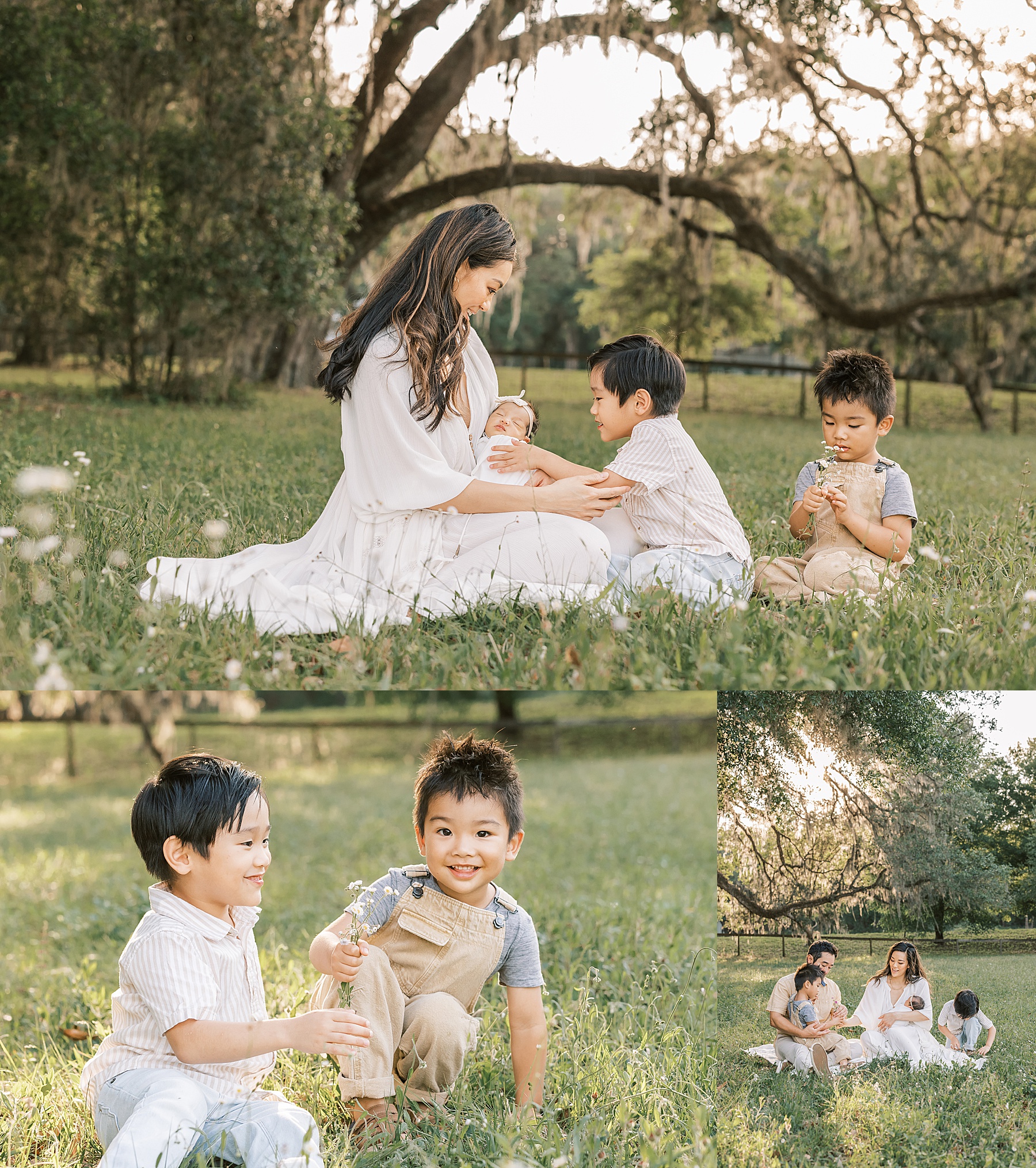 family playing with newborn baby girl in light and airy sunlit field