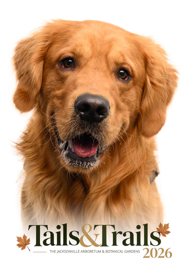 Tails and Trails 2026 dog portrait