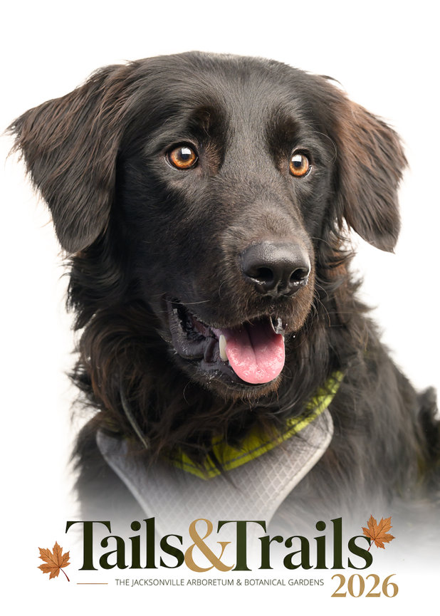 Tails and Trails 2026 dog portrait