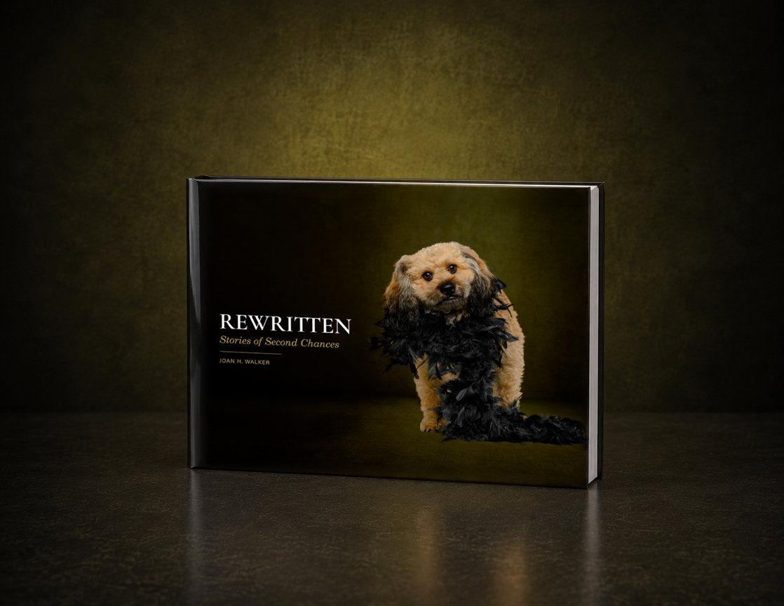 REWRITTEN: Stories of Second Chances Collector's Edition