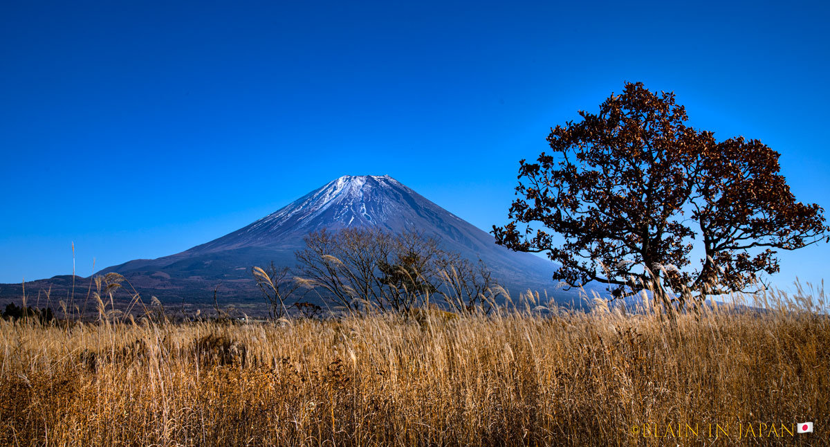 Mt. Fuji 2024 Blain Harasymiw Photography