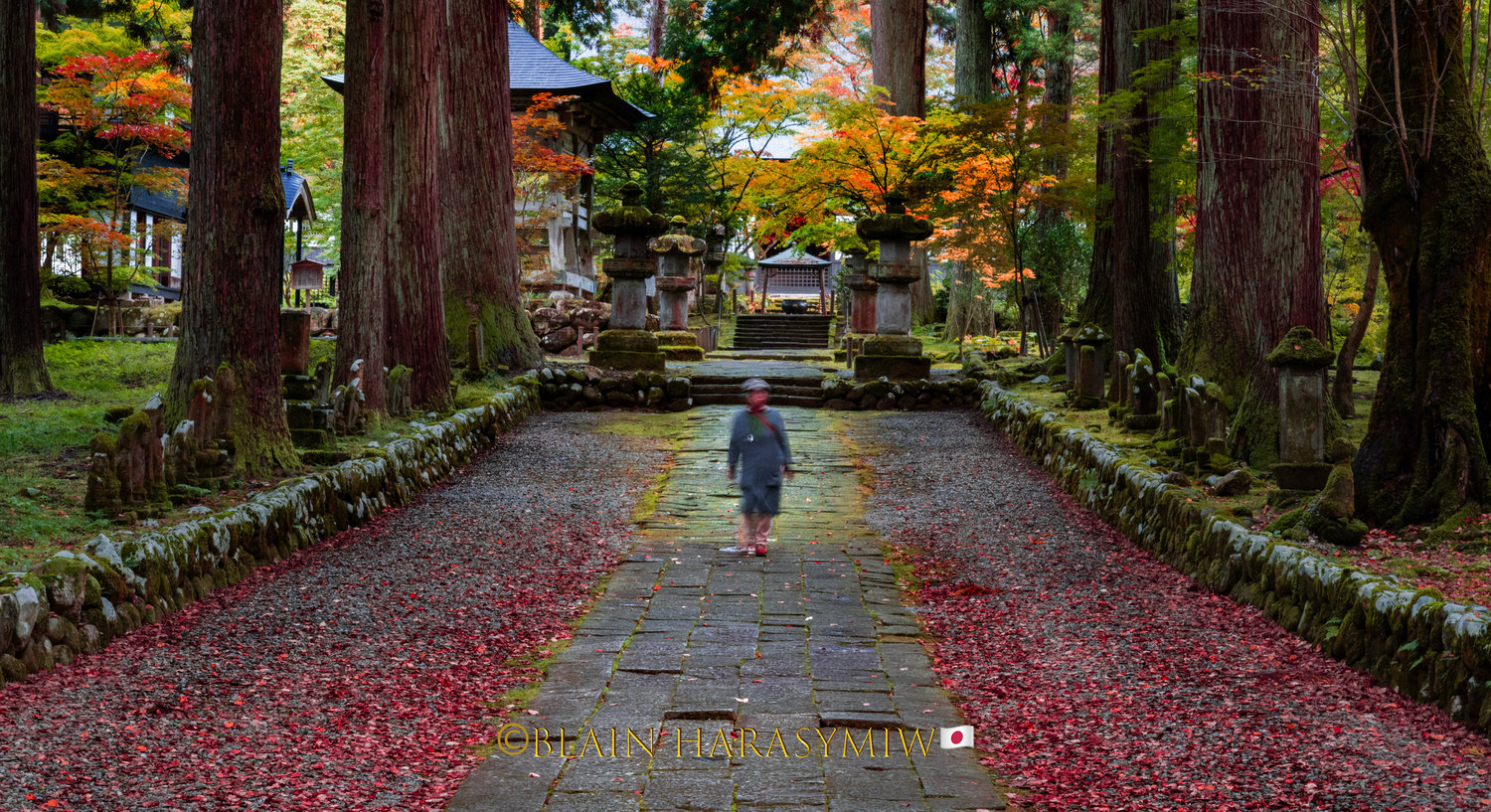 October Fall Background Japan Oct. 2024- Essence of Autumn - Japan Photo Tour - Blain Harasymiw ...