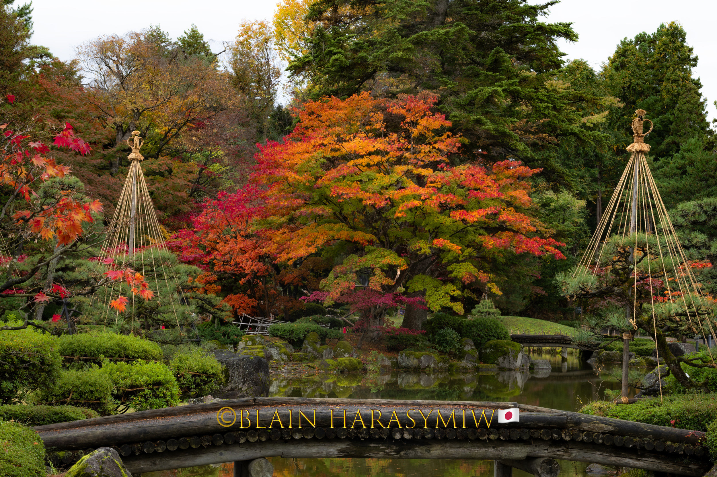 October Fall Background Japan Oct. 2024- Essence of Autumn - Japan Photo Tour - Blain Harasymiw ...