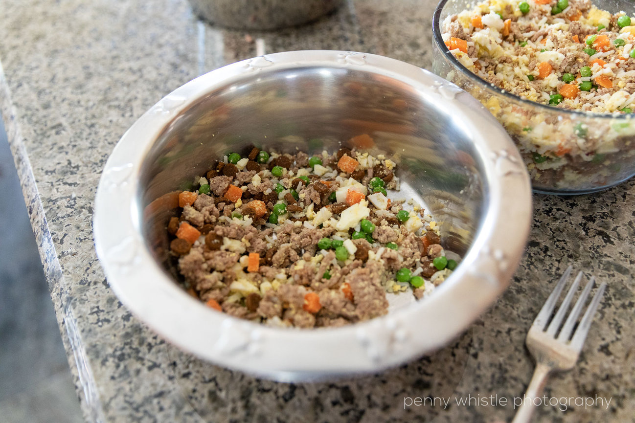 A One-Pot Recipe for Your Pup: Homemade Dog Food Back by Reader Request –  In the Vintage Kitchen: Where History Comes To Eat