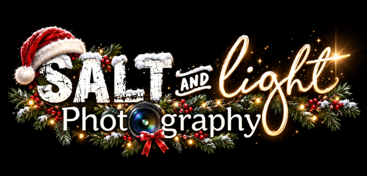Salt AND Light Photography Logo