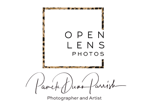 Open Lens Photos, Professional Photography Logo