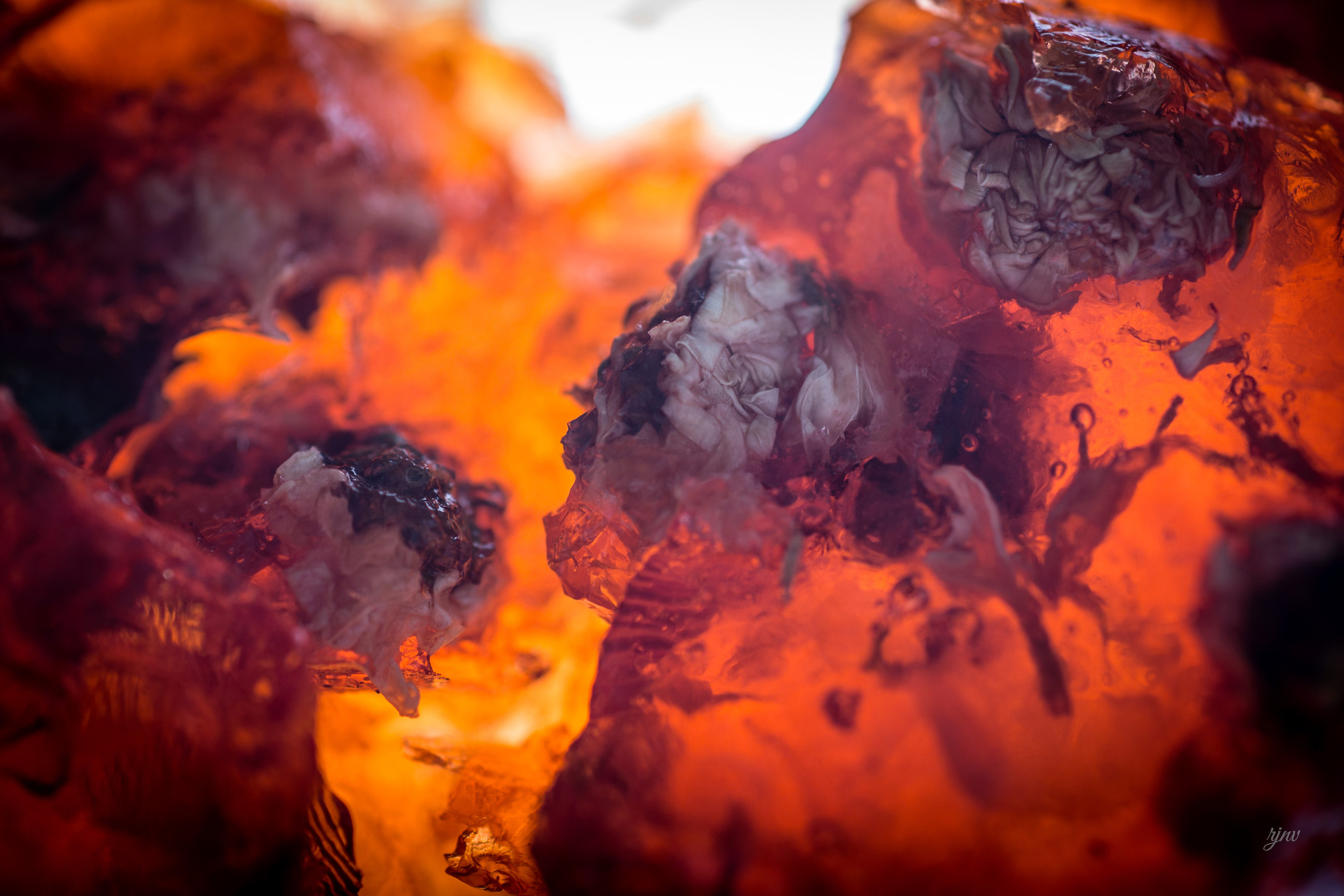 ABOUT US Vanderveen Photographers