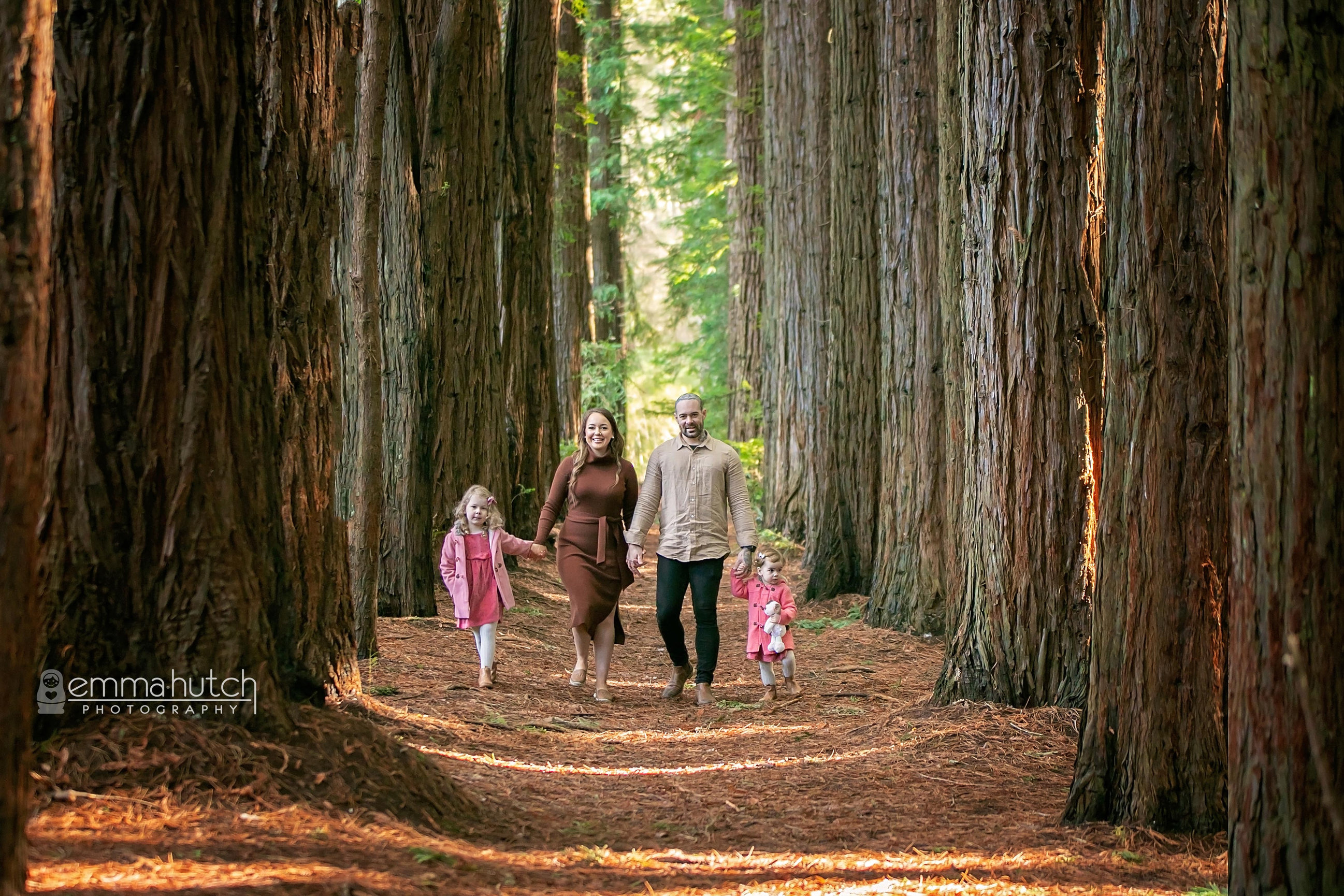 are dogs allowed in redwood forest warburton