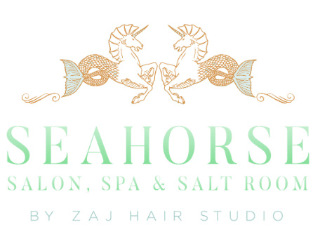 Zaj Hair Studio, Inc. Logo