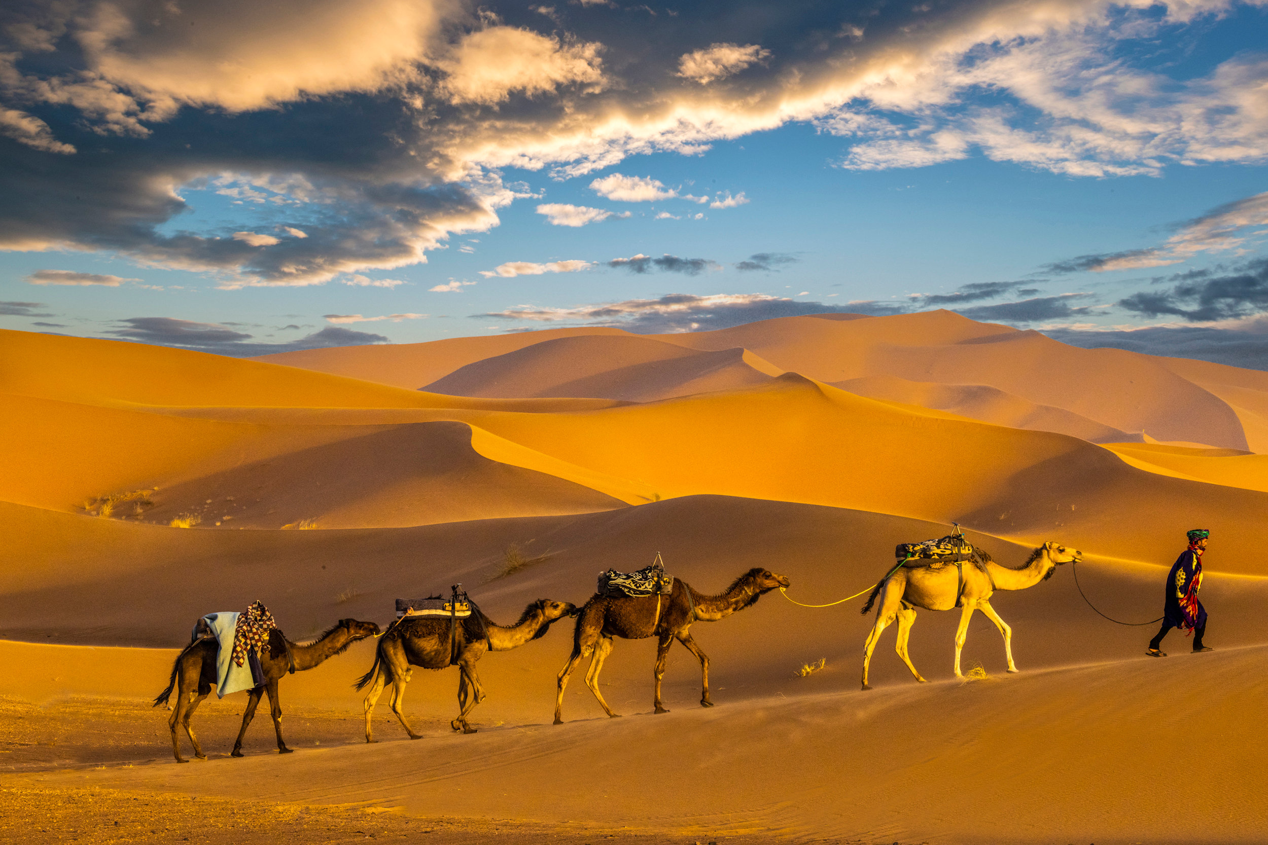 Camel train at sunset - Jim Zuckerman photography & photo tours