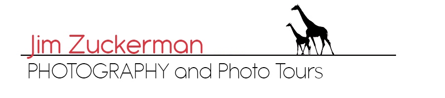 Zuckerman Photography Logo