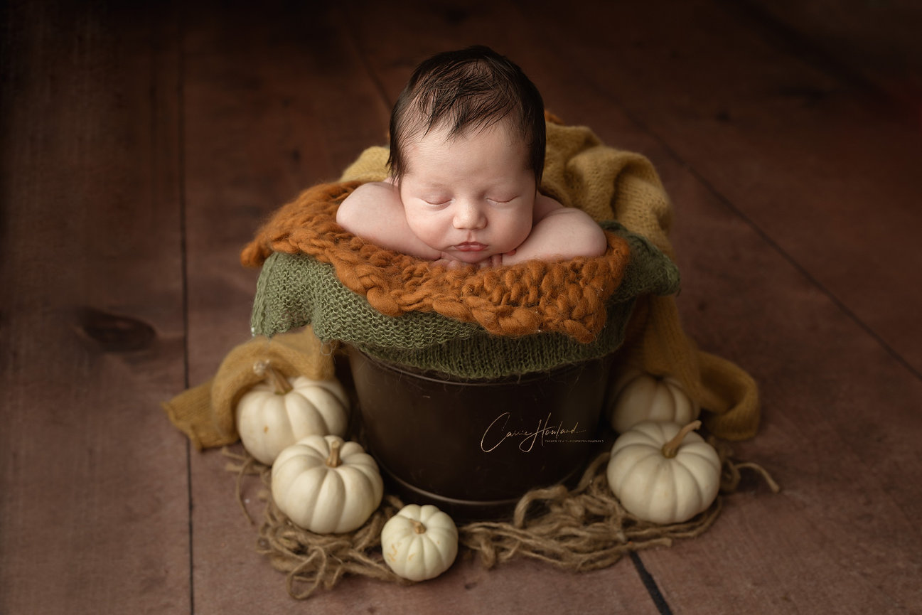 Charlotte Newborn Photographer, Carrie Howland Photography Home