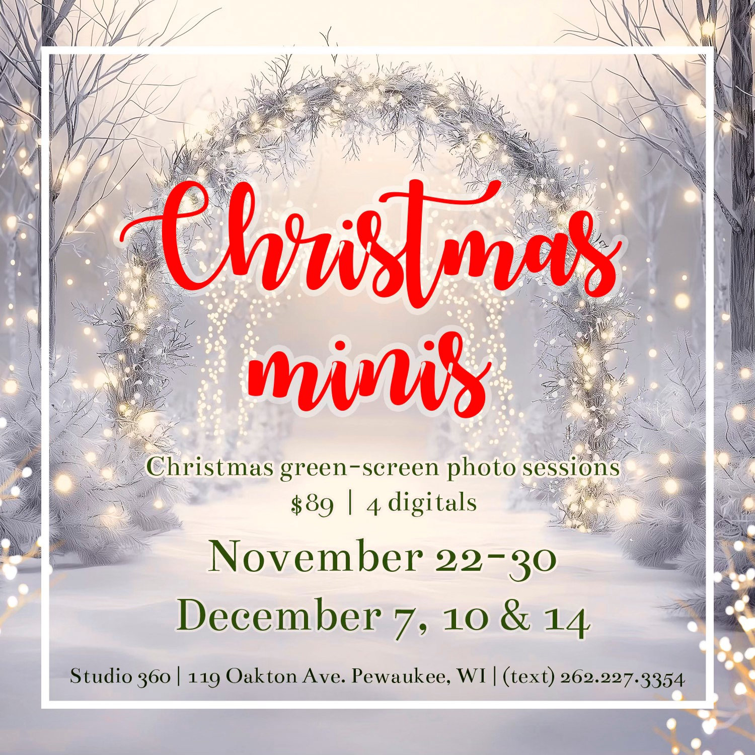 Mini Sessions | Studio 360 Photo | Pewaukee, WI
