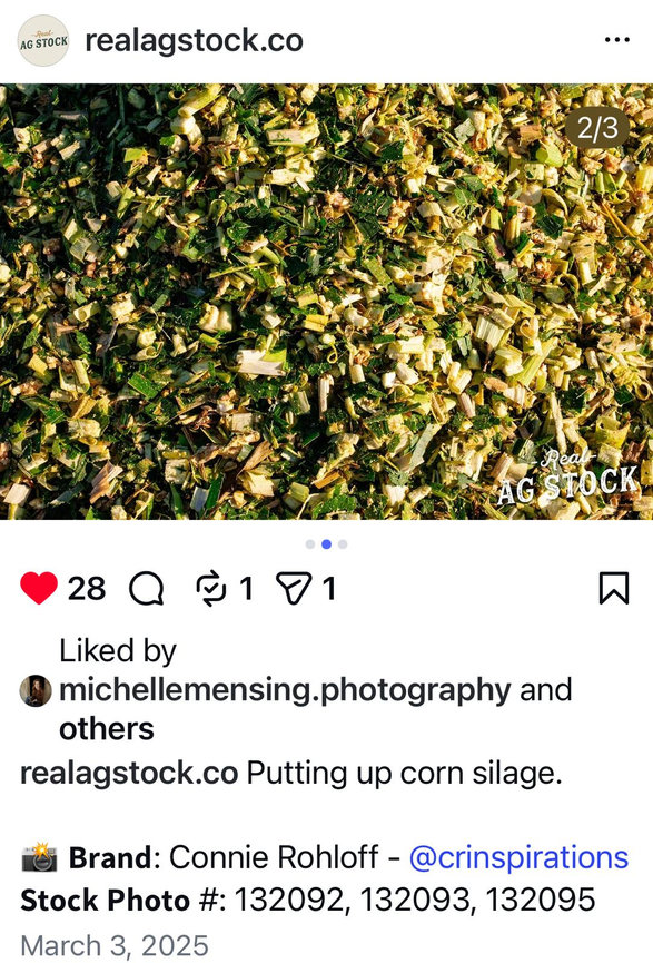 CORN