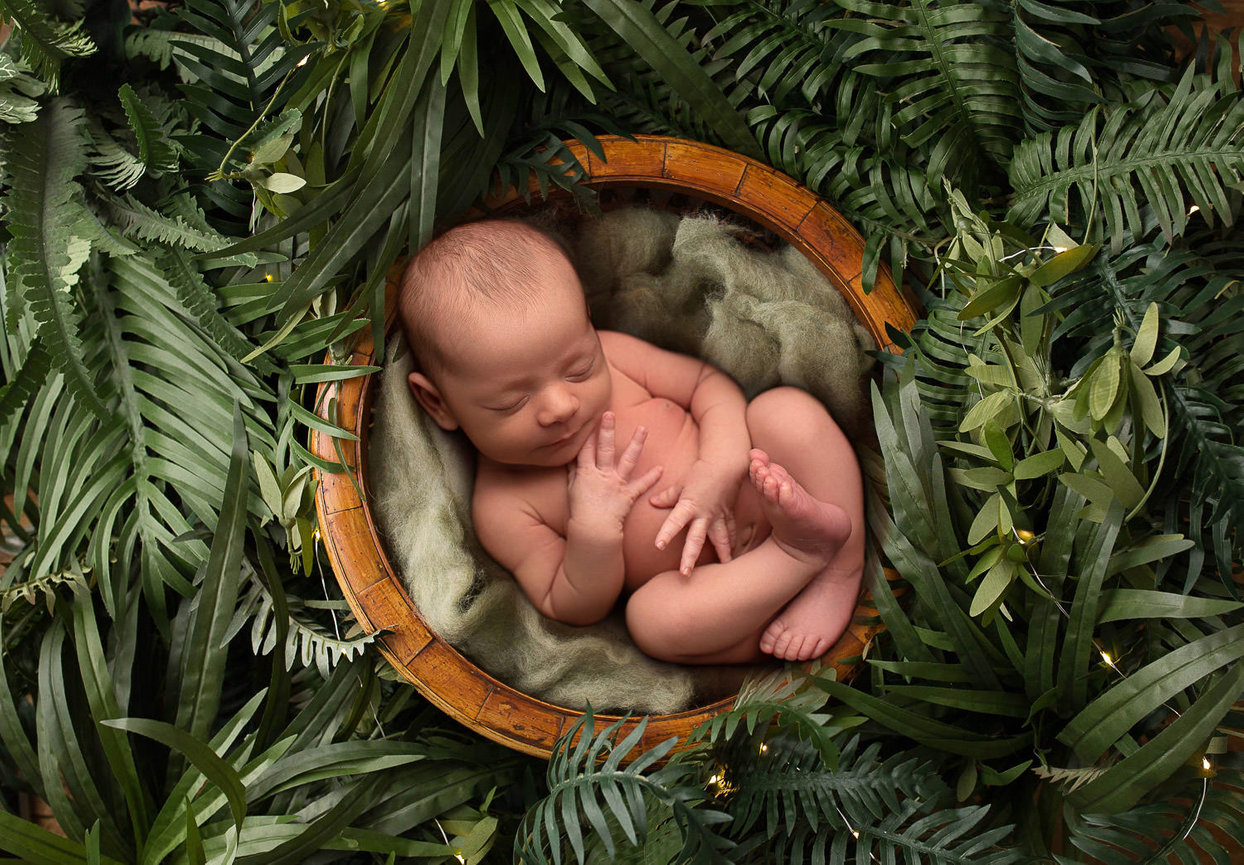 Newborn baby boy sleeping in curled up pose on top of fabric in a bowl surrounded by jungle leaves during newborn photoshoot in Kansas City with newborn photographer Dreamworks Photography