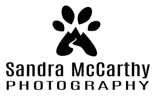 sandra mccarthy photography Logo